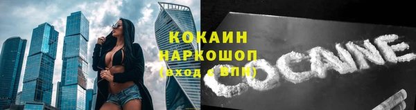 крисы Богородск