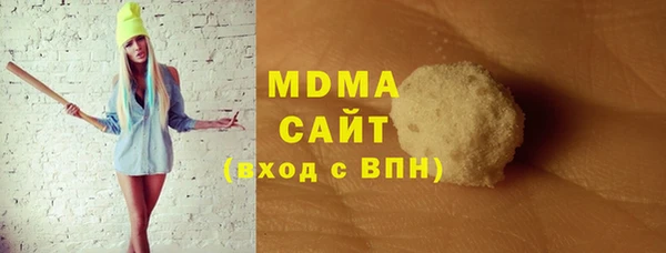 сатива Бородино