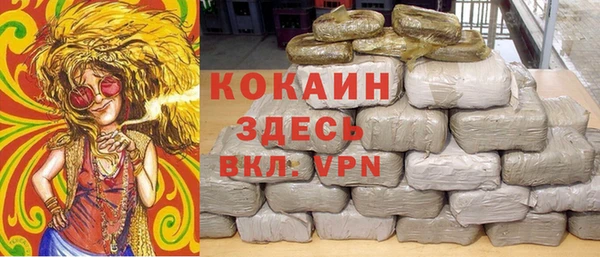 дмт Богородицк