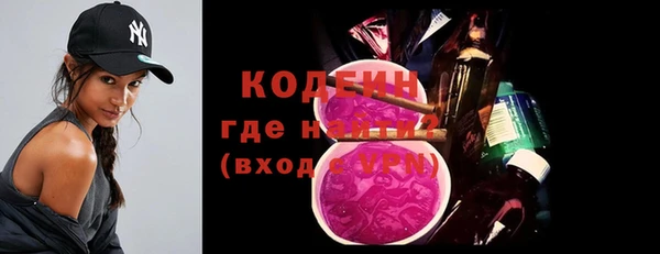 ПСИЛОЦИБИНОВЫЕ ГРИБЫ Богданович