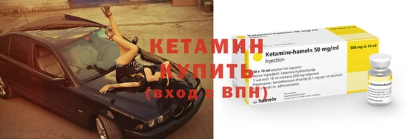 сатива Бородино