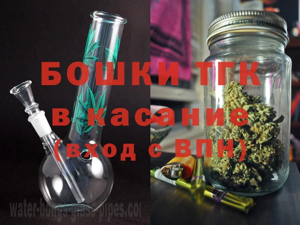 сатива Бородино