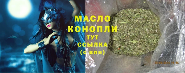 сатива Бородино