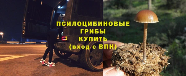 ПСИЛОЦИБИНОВЫЕ ГРИБЫ Богданович