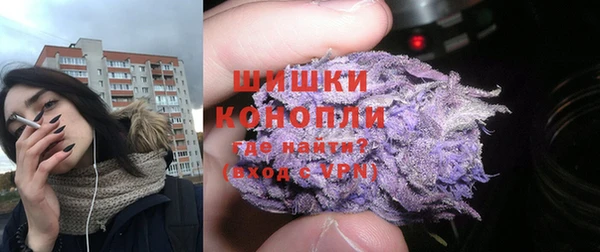 крисы Богородск
