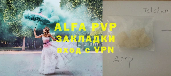 сатива Бородино
