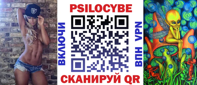 Псилоцибиновые грибы Psilocybe  цена   Армавир 